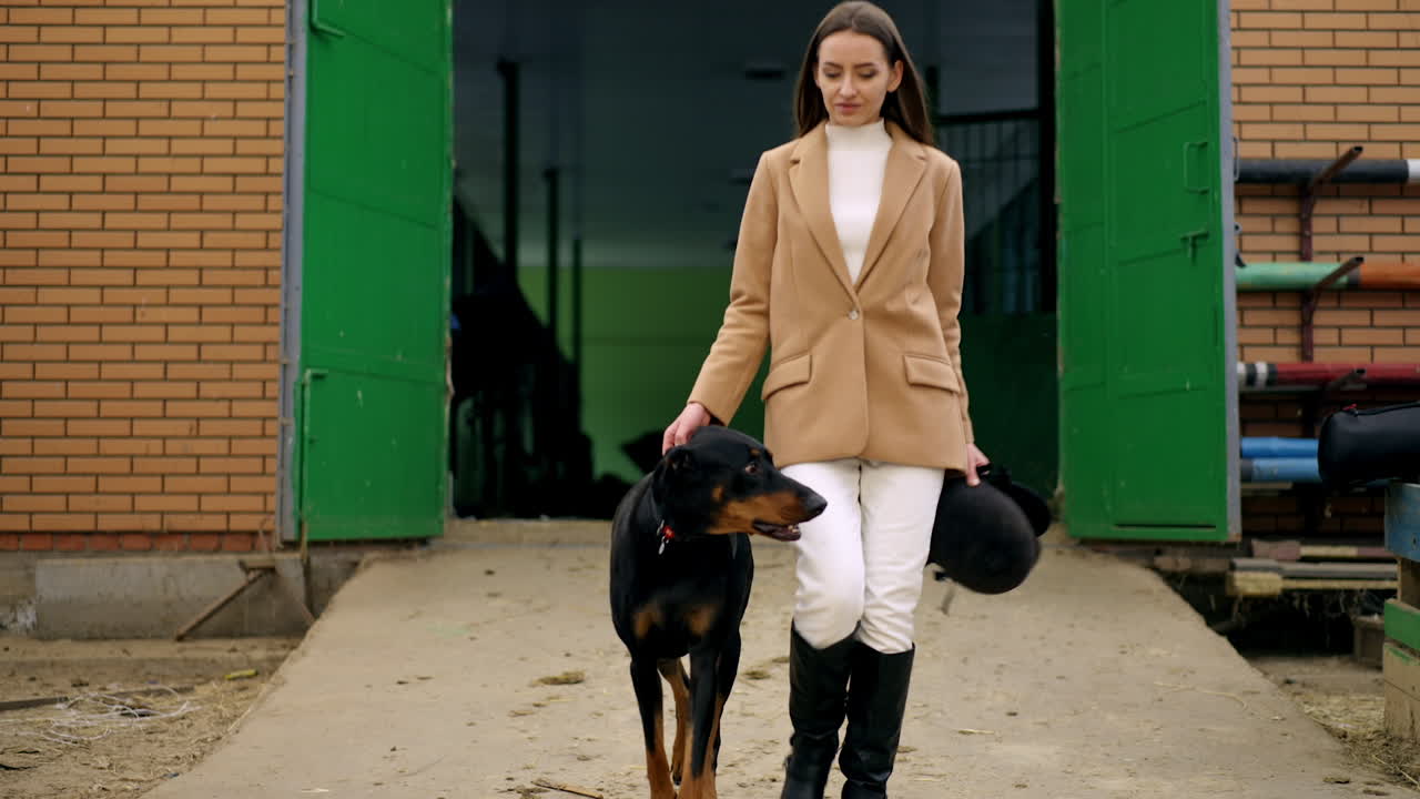 Attractive long-haired brunette wearing beige jacket and white pants and black boots walks out of horse stables holding a Doberman dog. Lady holding a jockey hat in her hands.