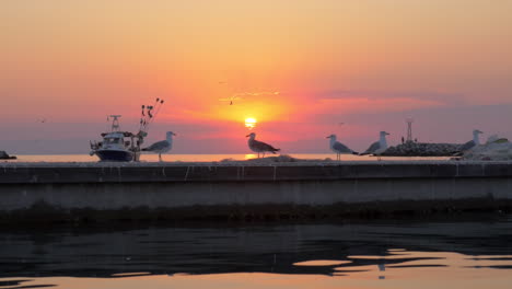 Möwen-Und-Boot-Im-Meer-Sonnenuntergang-Meeresszene