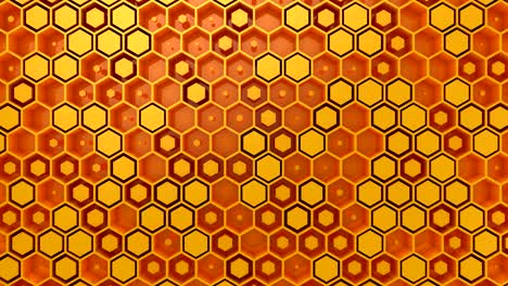 el fondo de los hexágonos