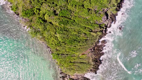 Aerial-top-down-shot-of-beautiful-tropical-island-with-palm-trees-and-plants-surrounded-by-waves-of-Pacific-Ocean-during-sunny-day---Playa-Bonita,Dominican-Republic