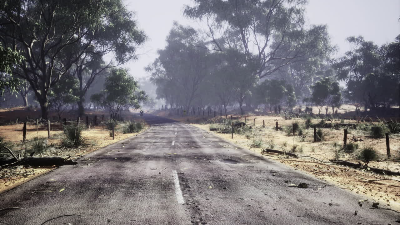 Lonely road stretches through misty landscape in serene wilderness