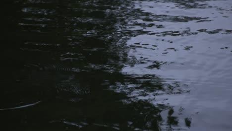 un movimiento lento de la gota de lluvia en el agua el estanque primer plano de un día lluvioso