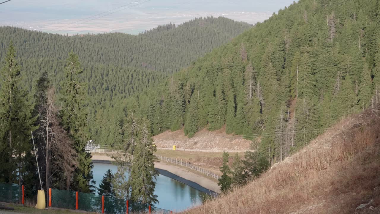 Stunning Aerial View of a Mountain Lake Surrounded by a Lush Coniferous Forest