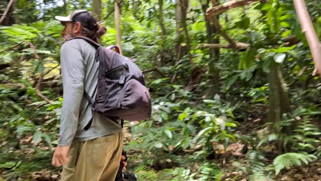 hiker with backpack and camera walking through dense forest trees of three pines pass on tropical island of moorea, french polynesia, south pacific