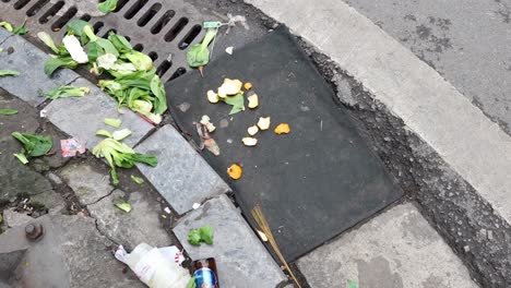 vegetable waste scattered near a drain