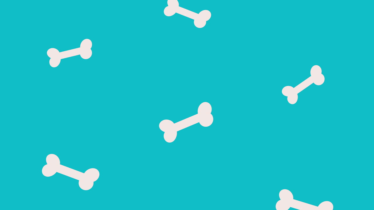 애완동물 음식 패턴 애니메이션