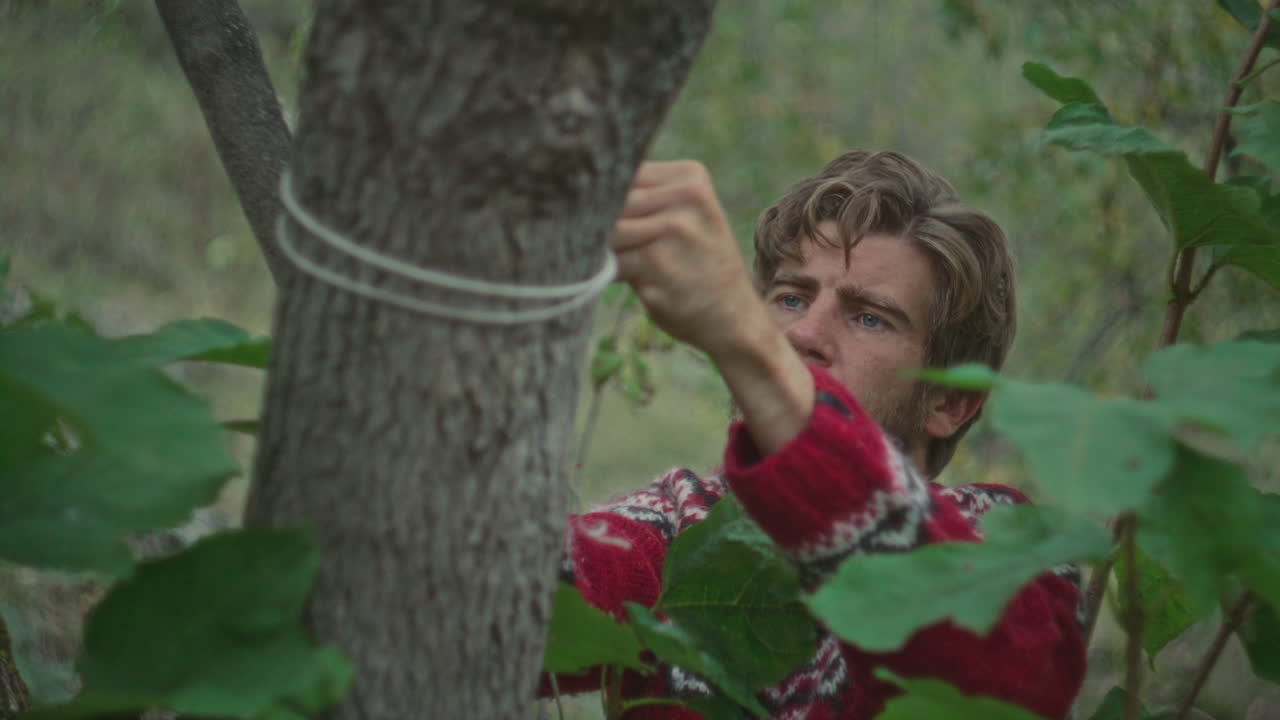 Man Tying Rope around Tree Trunk for Setting Up Camping Tent in Forest