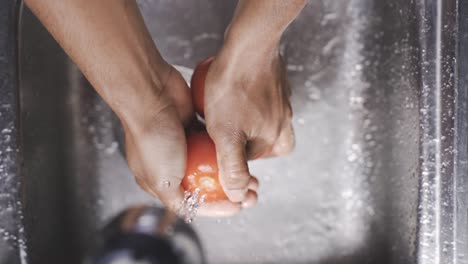 crop man washing ripe tomatoes in sink