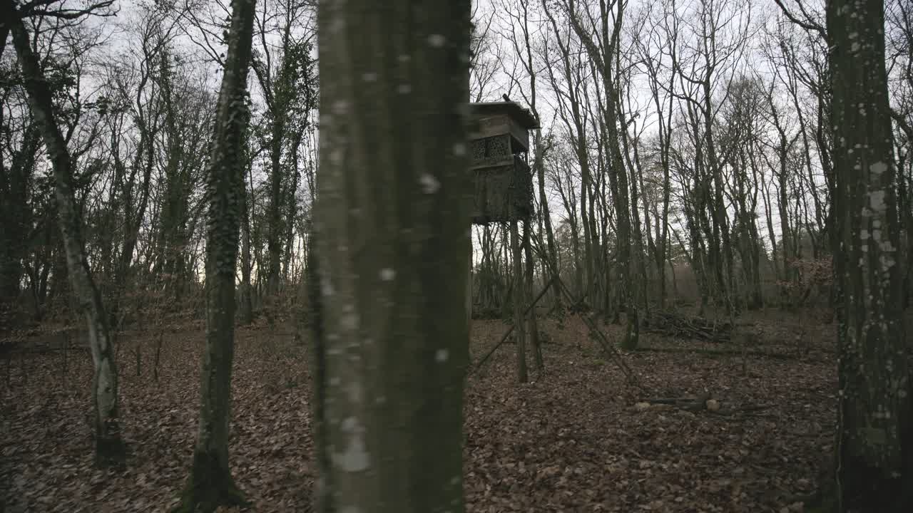 Wooden hunters house in the middle of the forest