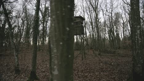 casa de cazadores de madera en medio del bosque