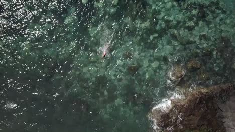 man swimming in the sea