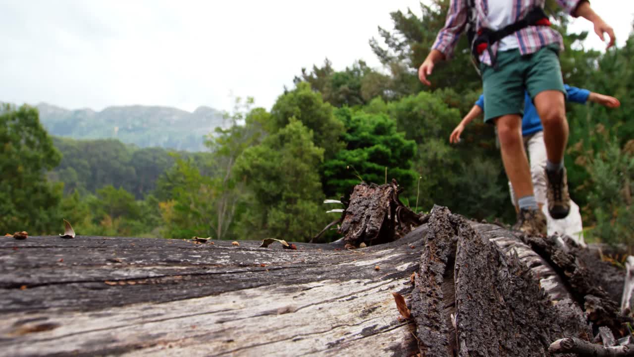 pareja caminando sobre un tronco de árbol