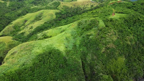 Exuberantes-Colinas-Verdes-Con-Hierba-Fresca-Y-Exótico-Bosque-Selvático,-órbita-Aérea,-Día