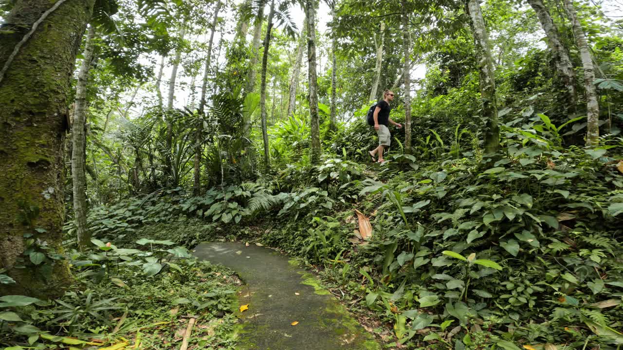 se puede ver a un hombre con una mochila caminando por el camino del bosque, que está rodeado de imponentes árboles y arbustos verdes, así como de otros tipos de vegetación