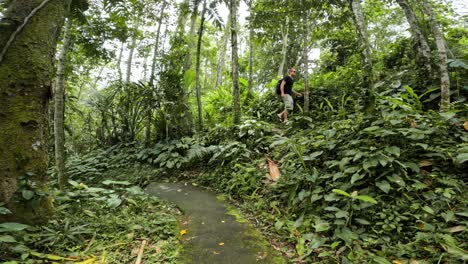 Ein-Mann-Mit-Einem-Rucksack-Geht-Den-Waldweg-Entlang,-Der-Von-Hoch-Aufragenden,-Grünen-Bäumen-Und-Sträuchern-Sowie-Anderem-Grün-Umgeben-Ist