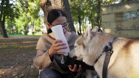 la dueña de la mascota dando agua a sus perros