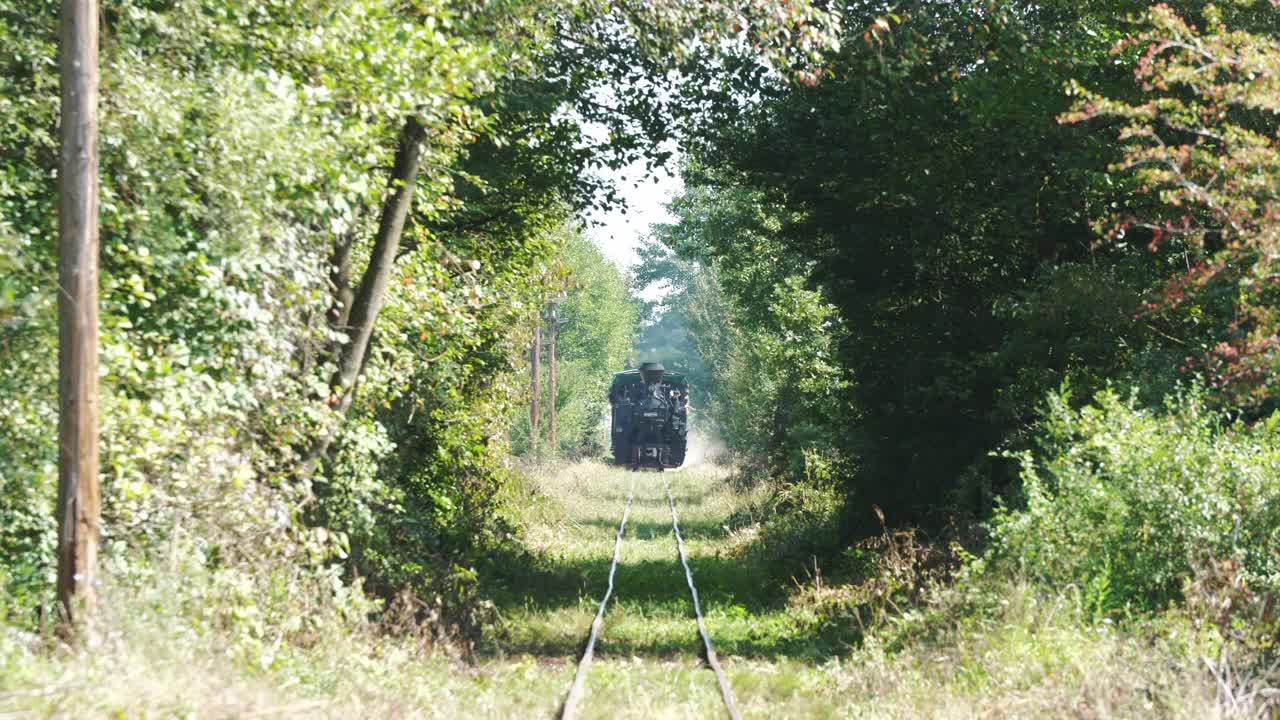 A historic steam train takes a scenic journey, approaching through a natural tunnel of lush green trees. The vintage locomotive travels on an old railway in the countryside