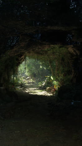 un camino a través de la jungla
