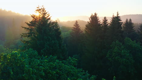 Passage-over-scenic,-sunlit-evergreen-mountains-shrouded-in-mist,-aerial-shot