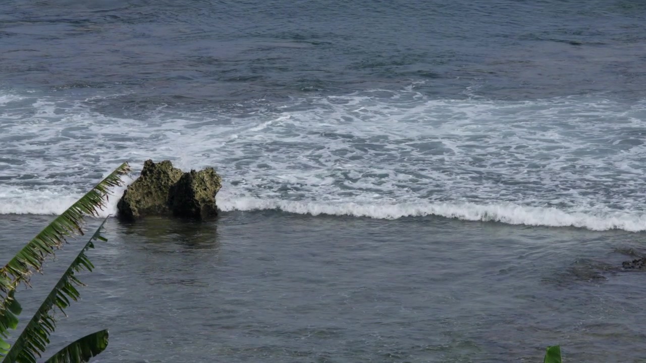 Dolci onde oceaniche si infrangono su una barriera corallina rocciosa vicino alla costa, con piante tropicali visibili.