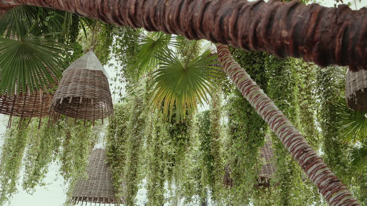 palm leaves and woven basket lights hang under cascading vines in tropical ceiling decor