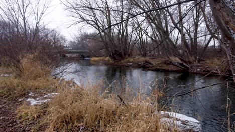 fresh crisp brisk winters day with idyllic flowing river, lined by golden brown trees during fall, fresh snow on walkway trail, overcast wintery day in boise, idaho, usa