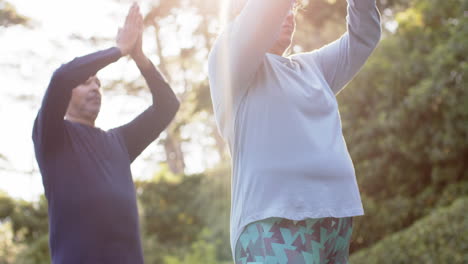 Focused-diverse-senior-couple-practicing-yoga-meditation-in-garden