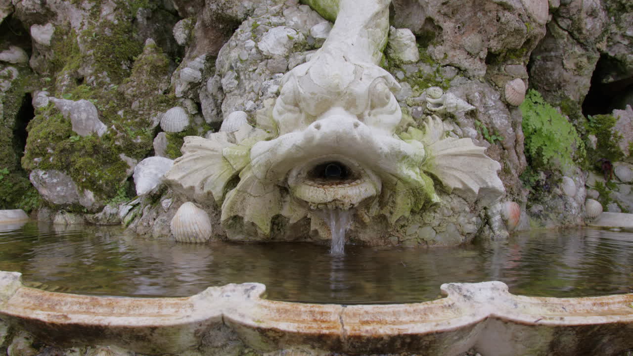 fuente de piedra antigua con detalles de conchas y musgo