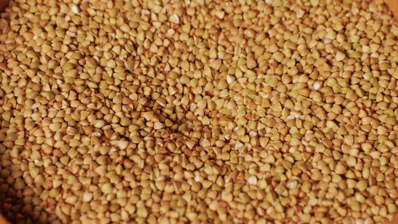 Close-up shot of treatment of seeds of cereals: rye, barley, wheat against diseases and insects using modern equipment. Hard wheat in hopper being ground into whole wheat flour. High quality 4k footage