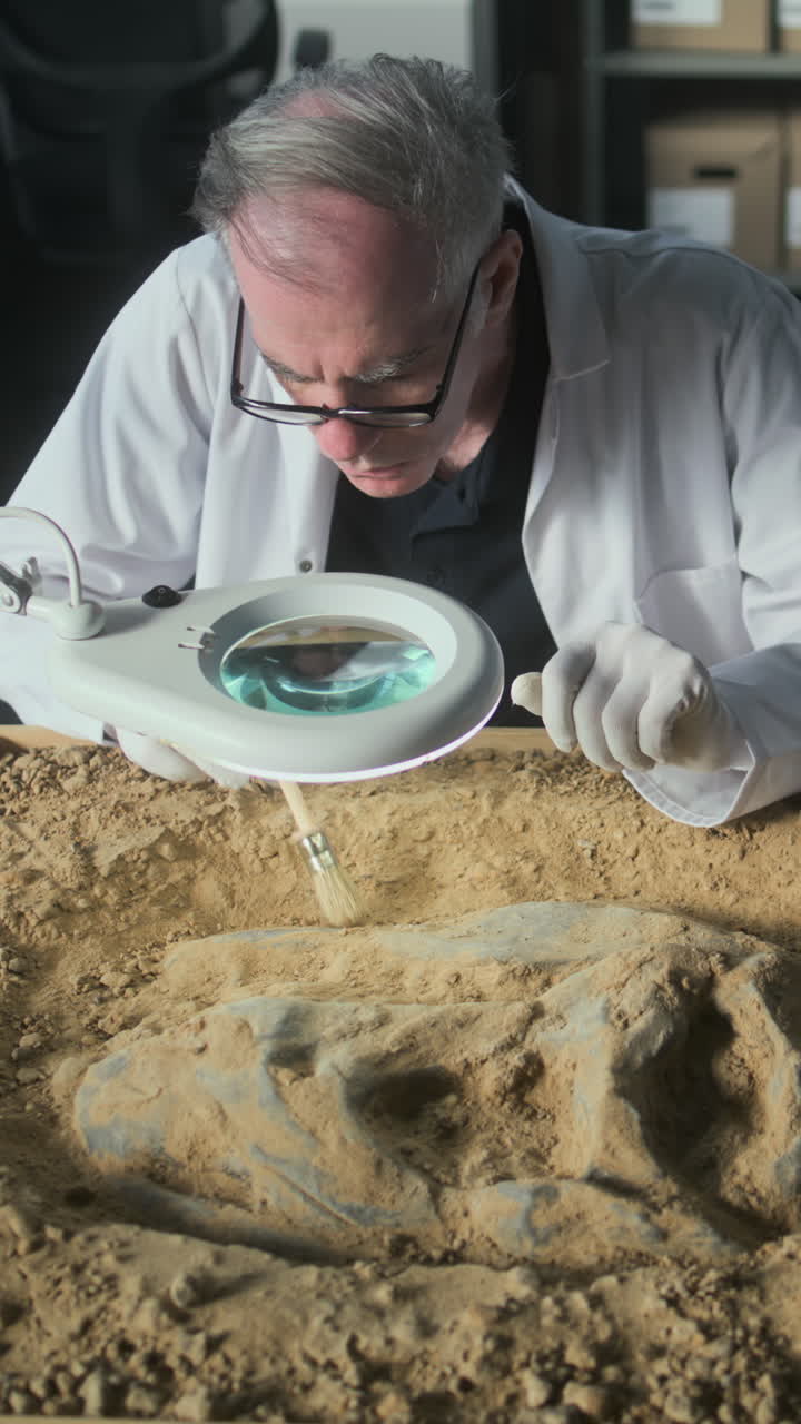 Fossil Excavation in Laboratory
