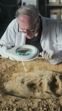 paleontologist examining fossil in laboratory