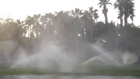 Automatische-Sprinkler-Bewässern-Rasenflächen-Auf-Der-Straße