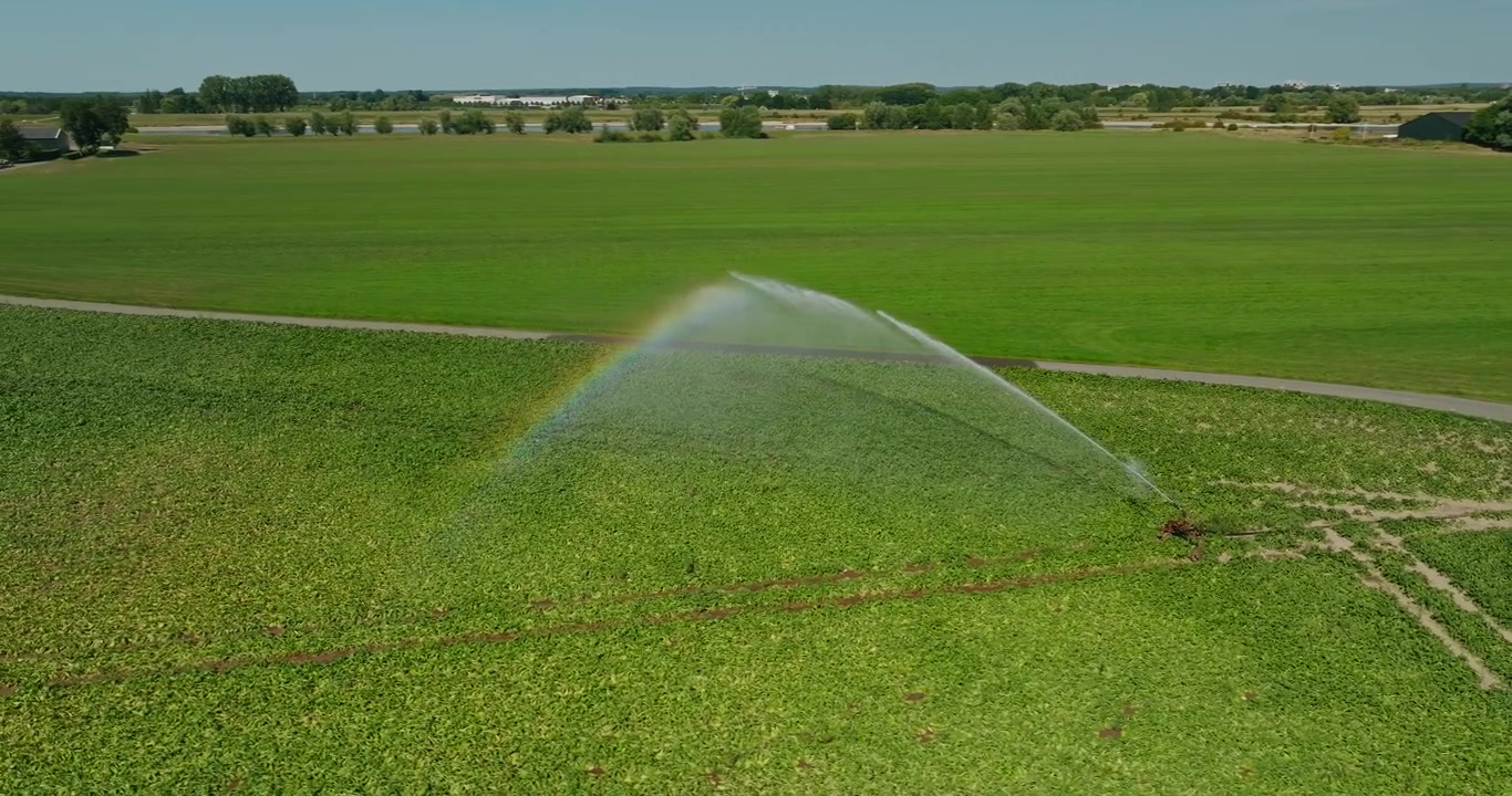 Splendido arcobaleno si forma nello spruzzo di un irrigatore da campo mentre un agricoltore irriga i campi sotto un cielo estivo azzurro e limpido, evidenziando il caldo, la siccità e la crescente scarsità d'acqua