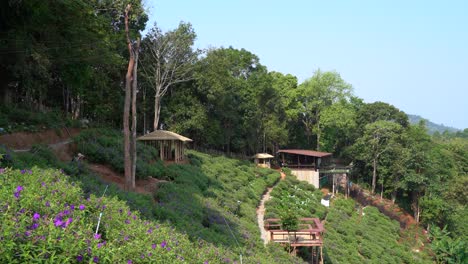 a person swinging on a tall swing on a hillside surrounded by forest and fields of flowers on a summer day