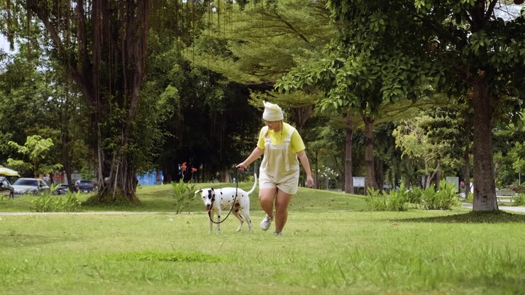 Woman playing with dog