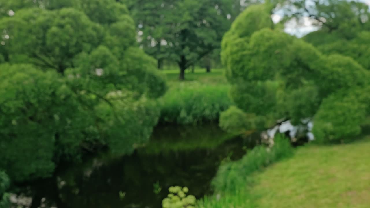 Dandelion falls gently from hand into summer greenery in cinematic slow motion