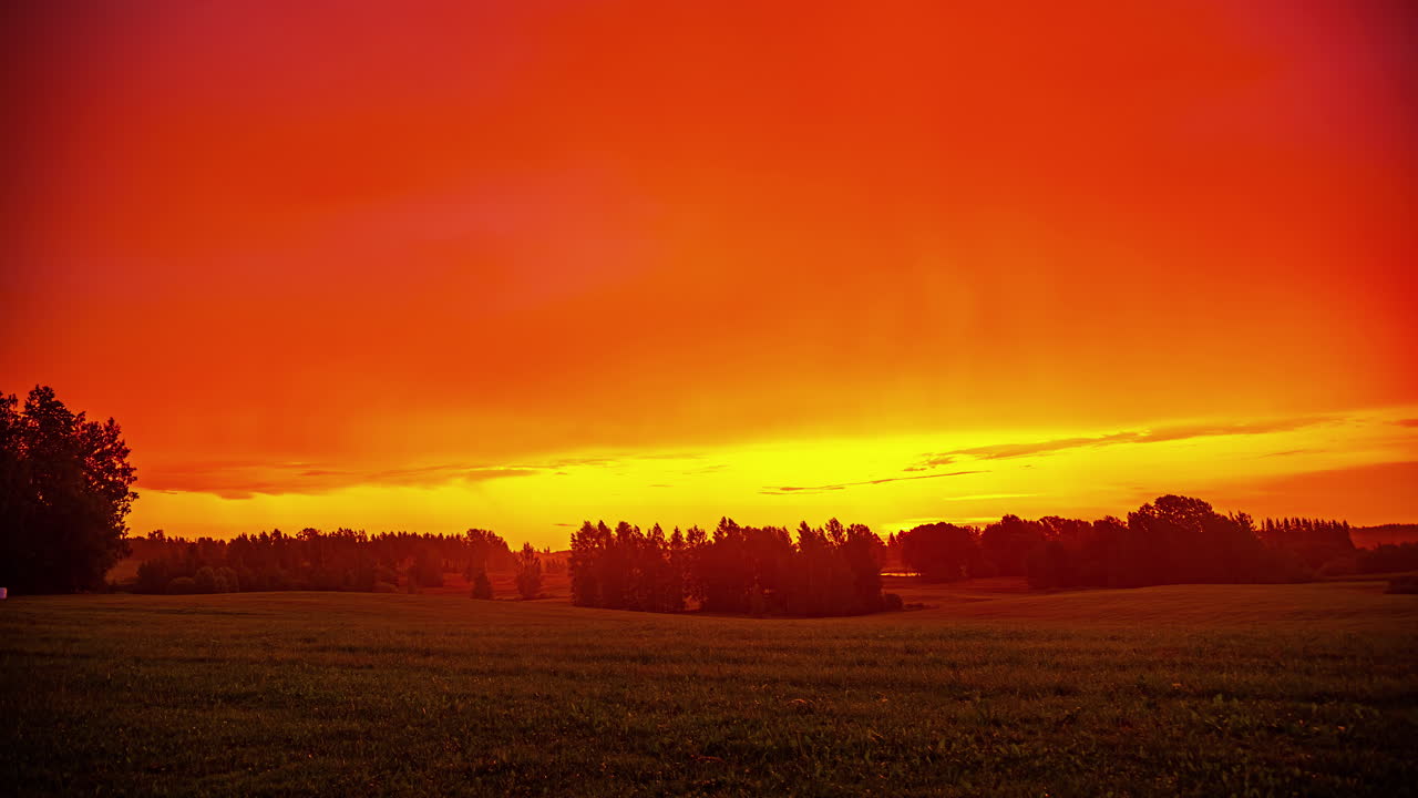 여름 시골 초원 과 숲 에서 해가 지기 전 부터 해가 지기 전 까지의 시간