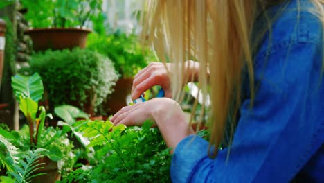 Bella-Mujer-Podando-Una-Planta-Con-Tijeras-De-Podar