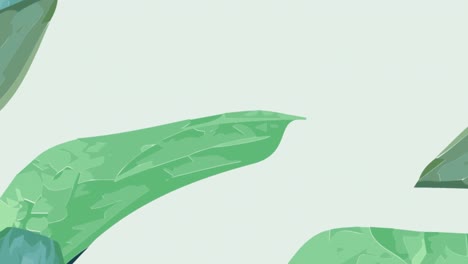 animation of green leaves of plants over pale grey background