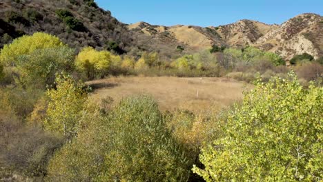 Pico-Canyon,-Kalifornien-Und-Seine-Herbstfarben