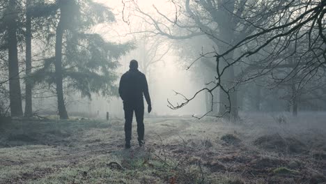 man walking through a foggy forest