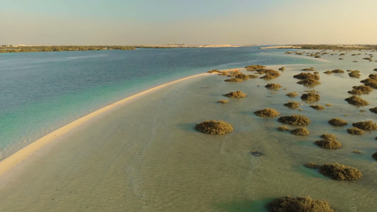 Drone flyver over lavt tropisk havvand med mangrovebuske