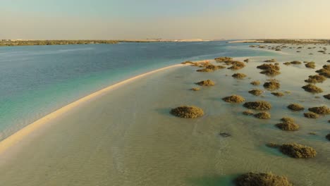 drone flying over shallow tropical ocean water with sea mangrove shrubs