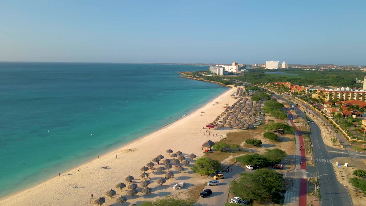 playa de palmeras aruba, increíble playa tropical con palmeras que entran en el océano contra el océano azul, la arena dorada y el cielo azul.