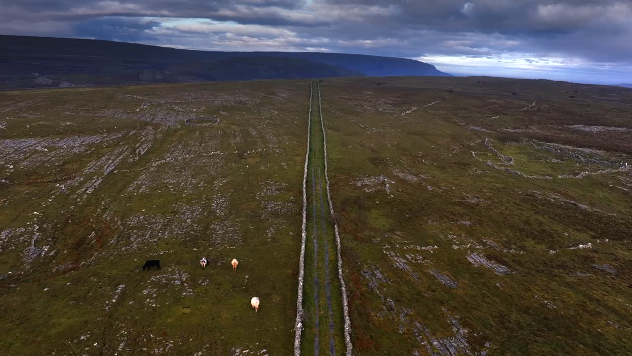 el burren, green road, condado de clare, irlanda, noviembre de 2023