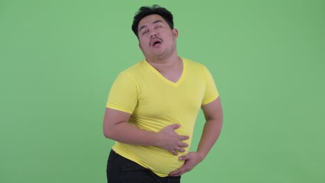 young handsome overweight asian man