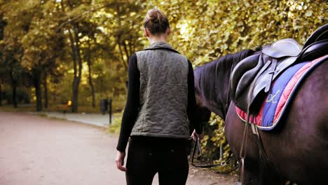 back view of beautiful dark brown horse walking with young brunette jockey girl in the forest during sunny day