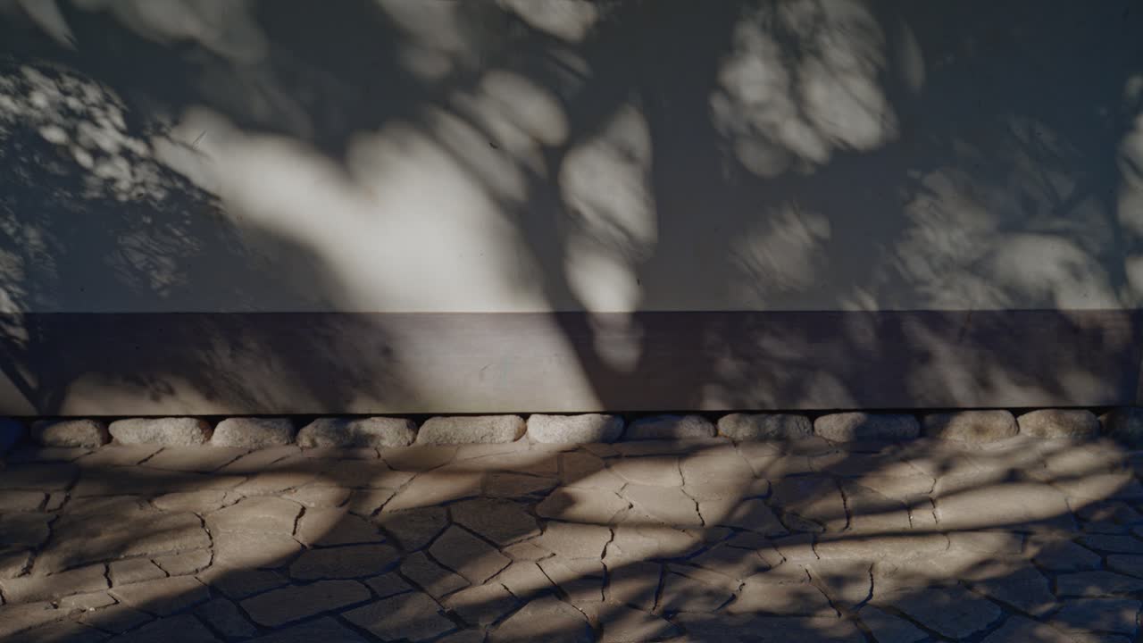 A minimalist shot capturing the artistic movement of tree shadows dancing on a clean white wall and a textured stone pavement in bright sunlight