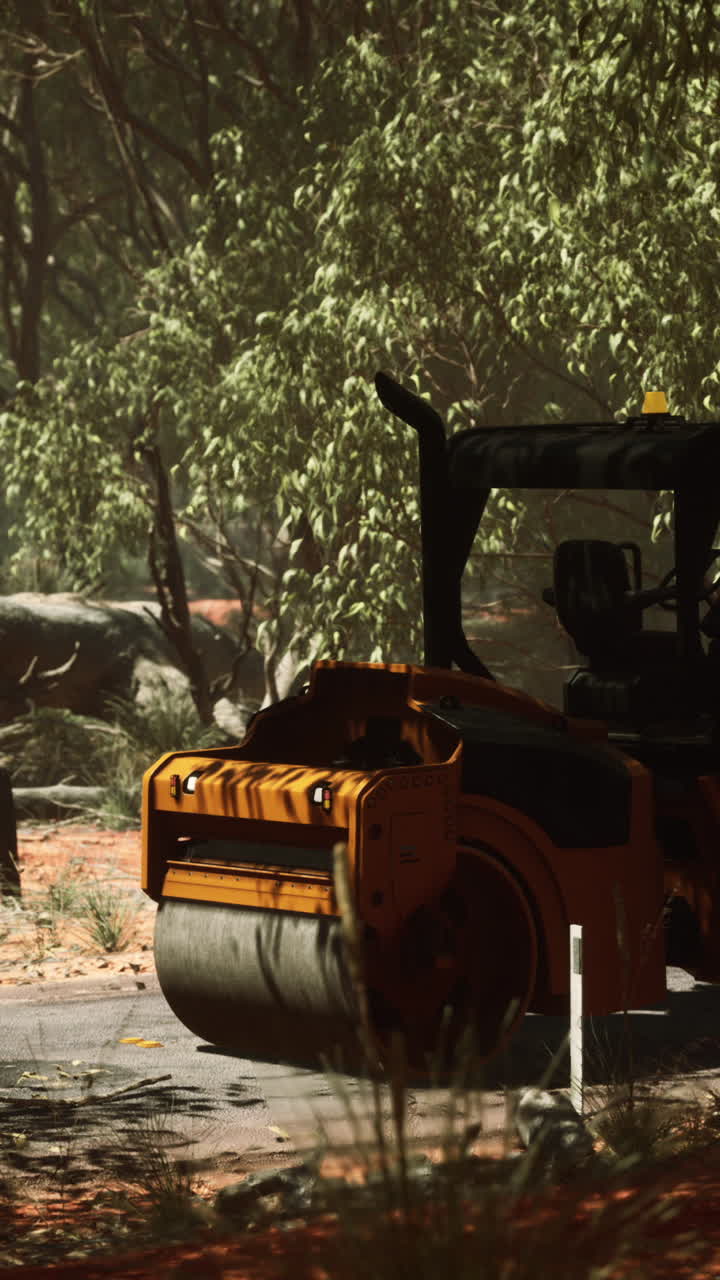 trabajo de carretera de rodillos en un paisaje forestal