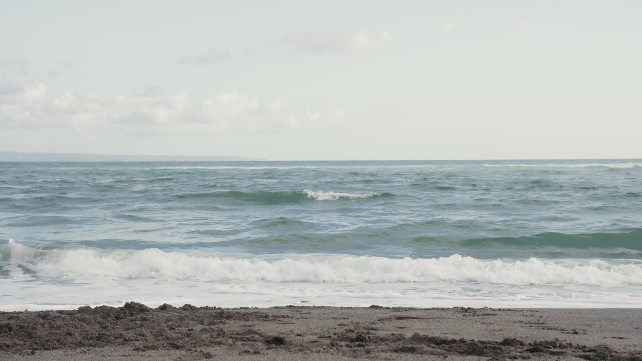 해변에서 행복한 커플과 개